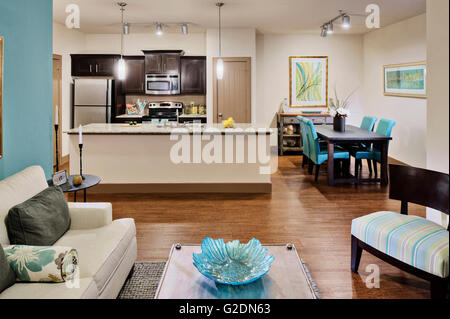 Modernes Wohnzimmer mit Blick auf Küche und Essbereich Stockfoto