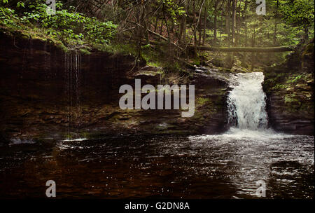 Kleiner Wasserfall und Schwimmen Loch Stockfoto