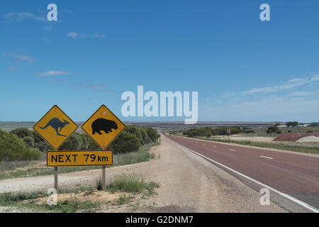 Endlose Outback-Straße in der Nullarbor-Ebene in Western Australia - Australien Stockfoto