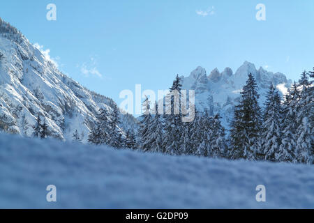 Tre Cime di Lavaredo oder drei Zinnen aus dem Landro Tal - Italien Stockfoto