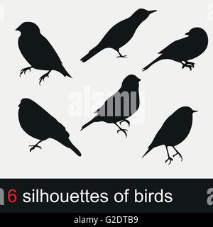 Vector Illustration Silhouetten der Vögel Stock Vektor