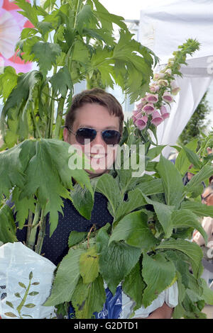 Ein Mann nimmt Pflanzen am letzten Tag der 2016 RHS Chelsea Flower Show im Royal Hospital Chelsea, London. Stockfoto