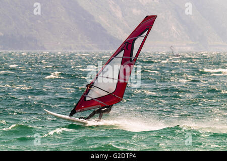 Windsurfen am Gardasee, umgeben von Bergen, Italien. Stockfoto