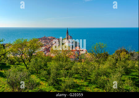 Slowenien-Küste und Kras Piran - Kathedrale von den Wänden anzeigen Stockfoto