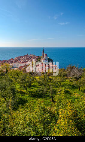 Slowenien-Küste und Kras Piran - Kathedrale von den Wänden anzeigen Stockfoto