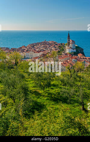 Slowenien-Küste und Kras Piran - Kathedrale von den Wänden anzeigen Stockfoto