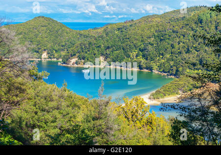 Der Bark Bay, Abel Tasman National Park, Nelson, Südinsel, Neuseeland Stockfoto