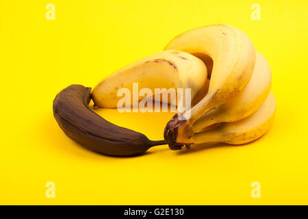 schwarze verfaulte Banane neben Haufen von reifen Bananen auf gelbem Hintergrund Stockfoto