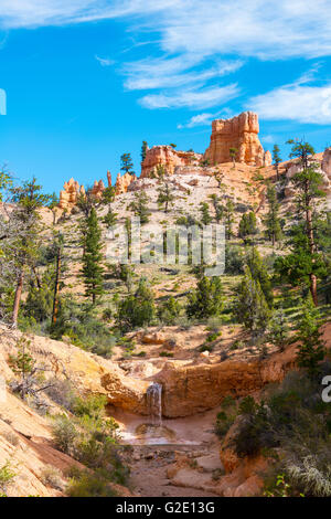 Kleiner Wasserfall, felsige Landschaft mit Hoodoos, Mossy Cave Trail, Bryce-Canyon-Nationalpark, Navajo Trail, Erosion Formen, Utah Stockfoto