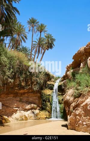 Wasserfall unter die Palmen der Oase von Mides, Sahara Wüste, Tunesien Stockfoto