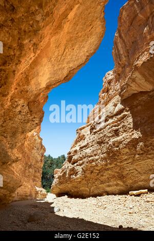 Mides Schlucht in der Nähe der Oase von mides, Sahara, Tunesien Stockfoto