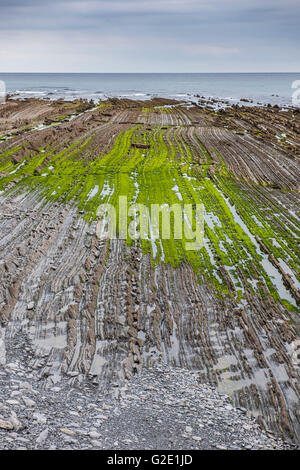 Flysch, verschiedene Gesteinsschichten, kantabrischen Küste, Deba, Baskisches Land, Spanien Stockfoto