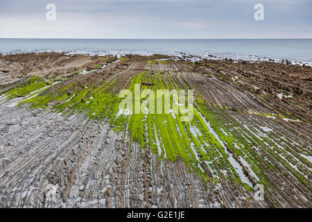 Flysch, verschiedene Gesteinsschichten, kantabrischen Küste, Deba, Baskisches Land, Spanien Stockfoto