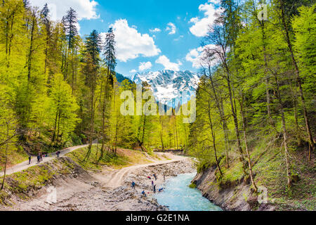 Gebirgsfluss Partnach mit ihren Wäldern und Bergen im Frühjahr, Wetterstein, Partnachklamm, Landkreis Garmisch-Partenkirchen Stockfoto