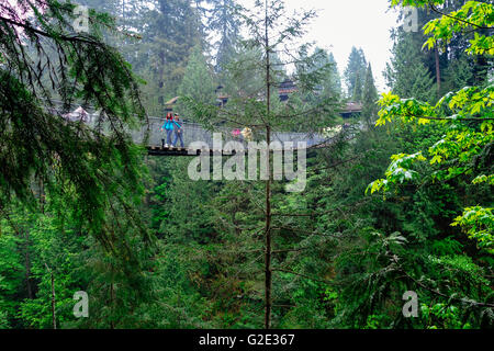 Capilano Suspension Bridge Vancouver Kanada Stockfoto