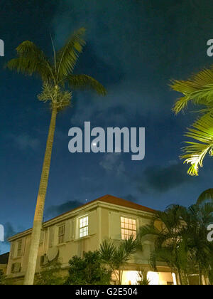 Am frühen Abend Himmel mit der alten St bart Home und Palmen in gustavia Stockfoto