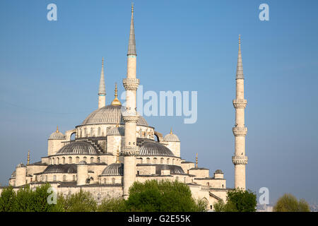 Berühmte "Blaue Moschee" in Istanbul, Türkei Stockfoto