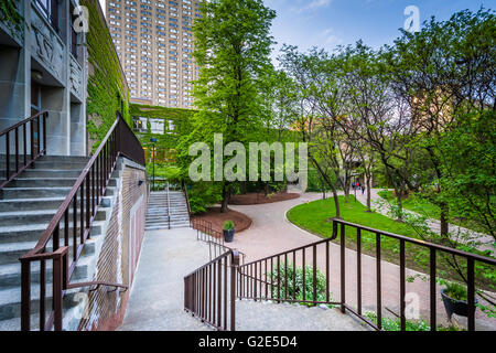 Treppen und Gebäude an der Ryerson Universität in Toronto, Ontario. Stockfoto