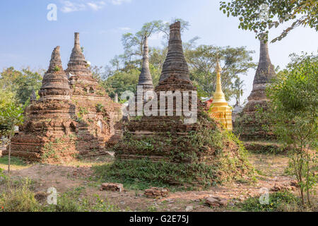 Baum wächst auf bröckelnden Stupa in Ruinen von Pagoden, alte Tempel-Architektur, Myanmar, Burma, Südasien, Asien Stockfoto