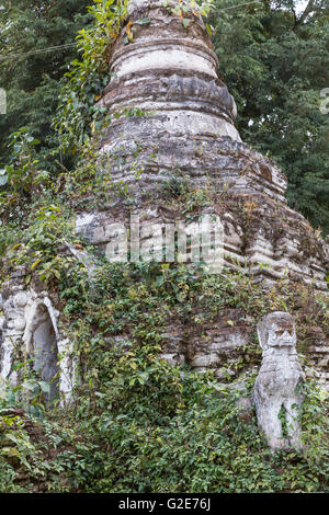 Baum wächst auf einem bröckelnden Stupa in Ruinen von Pagoden, alte Tempel-Architektur, Myanmar, Burma, Südasien, Asien Stockfoto