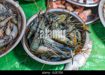 Großen blauen Garnelen auf einem Fischmarkt, Myanmar, Birma, Südostasien, Asien Stockfoto