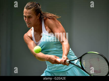 Tianjin. 29. Mai 2016. Aryna Sabalenka der Republik Belarus gibt den Ball während der Einzel-Finale gegen Nina Stojanovic von Serbien im Jahr 2016 ITF Damen Circuit in Nord-China Tianjin Municipality, am 29. Mai 2016. Aryna Sabalenka behauptete den Titel mit 2: 1. © Yue Yuewei/Xinhua/Alamy Live-Nachrichten Stockfoto