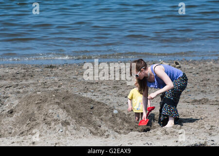Aberystwyth Wales UK, Sunday 29 May 2016  UK Bank Holiday weather; On a fine sunny and very warm Sunday afternoon, people enjoy the sunshine on the beach and on the promenade in Aberystwyth on the coast of Cardigan Bay, west Wales.  The temperature is set to reach 22ºc by the mid afternoon, and the fine weather is forecast to continue into the Bank Holiday Monday in the west, though with the threat of rain in the south east of the UK   photo Credit:  Keith Morris / Alamy Live News Stockfoto