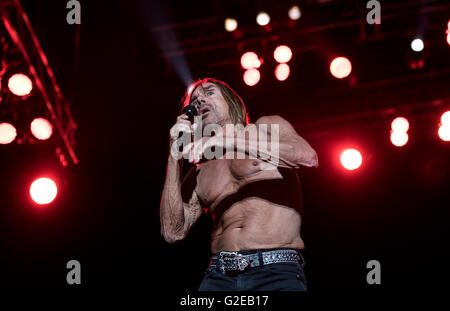 München, Deutschland. 28. Mai 2016. Iggy Pop Durchführung während des Musikfestivals "Rockavaria" in München, 28. Mai 2016. Das Festival dauert bis zum 29. Mai 2016. Foto: SVEN HOPPE/Dpa (Achtung: nur zur redaktionellen Nutzung) © Dpa/Alamy Live-Nachrichten Stockfoto