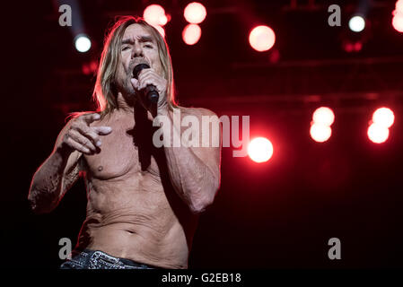 München, Deutschland. 28. Mai 2016. Iggy Pop Durchführung während des Musikfestivals "Rockavaria" in München, 28. Mai 2016. Das Festival dauert bis zum 29. Mai 2016. Foto: SVEN HOPPE/Dpa (Achtung: nur zur redaktionellen Nutzung) © Dpa/Alamy Live-Nachrichten Stockfoto