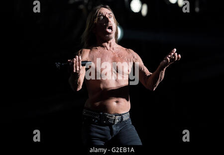 München, Deutschland. 28. Mai 2016. Iggy Pop Durchführung während des Musikfestivals "Rockavaria" in München, 28. Mai 2016. Das Festival dauert bis zum 29. Mai 2016. Foto: SVEN HOPPE/Dpa (Achtung: nur zur redaktionellen Nutzung) © Dpa/Alamy Live-Nachrichten Stockfoto