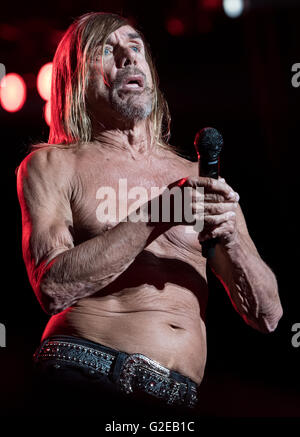 München, Deutschland. 28. Mai 2016. Iggy Pop Durchführung während des Musikfestivals "Rockavaria" in München, 28. Mai 2016. Das Festival dauert bis zum 29. Mai 2016. Foto: SVEN HOPPE/Dpa (Achtung: nur zur redaktionellen Nutzung) © Dpa/Alamy Live-Nachrichten Stockfoto