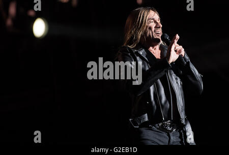 München, Deutschland. 28. Mai 2016. Iggy Pop Durchführung während des Musikfestivals "Rockavaria" in München, 28. Mai 2016. Das Festival dauert bis zum 29. Mai 2016. Foto: SVEN HOPPE/Dpa (Achtung: nur zur redaktionellen Nutzung) © Dpa/Alamy Live-Nachrichten Stockfoto