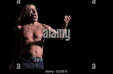 München, Deutschland. 28. Mai 2016. Iggy Pop Durchführung während des Musikfestivals "Rockavaria" in München, 28. Mai 2016. Das Festival dauert bis zum 29. Mai 2016. Foto: SVEN HOPPE/Dpa (Achtung: nur zur redaktionellen Nutzung) © Dpa/Alamy Live-Nachrichten Stockfoto