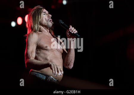 München, Deutschland. 28. Mai 2016. Iggy Pop Durchführung während des Musikfestivals "Rockavaria" in München, 28. Mai 2016. Das Festival dauert bis zum 29. Mai 2016. Foto: SVEN HOPPE/Dpa (Achtung: nur zur redaktionellen Nutzung) © Dpa/Alamy Live-Nachrichten Stockfoto