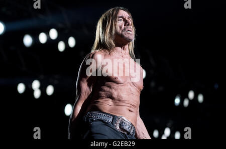 München, Deutschland. 28. Mai 2016. Iggy Pop Durchführung während des Musikfestivals "Rockavaria" in München, 28. Mai 2016. Das Festival dauert bis zum 29. Mai 2016. Foto: SVEN HOPPE/Dpa (Achtung: nur zur redaktionellen Nutzung) © Dpa/Alamy Live-Nachrichten Stockfoto