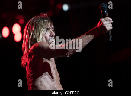 München, Deutschland. 28. Mai 2016. Iggy Pop Durchführung während des Musikfestivals "Rockavaria" in München, 28. Mai 2016. Das Festival dauert bis zum 29. Mai 2016. Foto: SVEN HOPPE/Dpa (Achtung: nur zur redaktionellen Nutzung) © Dpa/Alamy Live-Nachrichten Stockfoto