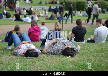 Nord-London, UK 29. Mai 2016. Menschen genießen und Entspannen ein sonniger Feiertagswochenende im Alexandra Palace, North London Credit: Dinendra Haria/Alamy Live News Stockfoto