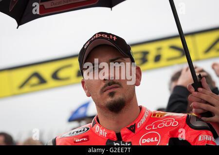 Donington Park, Derby, UK. 29. Mai 2016 #34 Davide Giugliano in der Startaufstellung vor dem zweiten Rennen Credit: Steven Reh/Alamy Live News Stockfoto