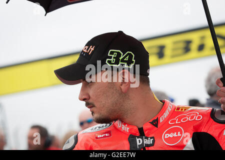 Donington Park, Derby, UK. 29. Mai 2016 #34 Davide Giugliano in der Startaufstellung vor dem zweiten Rennen Credit: Steven Reh/Alamy Live News Stockfoto