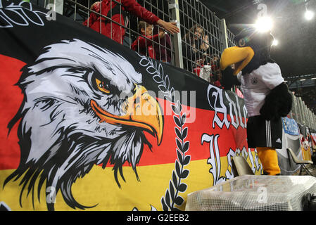 Augsburg, Deutschland. 29. Mai 2016. Das DFB-Maskottchen Paule Habicht, kann man an das internationale Freundschaftsspiel zwischen Deutschland und der Slowakei im WWK-Arena in Augsburg, Deutschland, 29. Mai 2016. Foto: CHRISTIAN CHARISIUS/Dpa/Alamy Live News Stockfoto