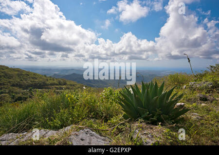 Horizontale Luftaufnahme von Topes de Collantes Nationalpark in Kuba. Stockfoto