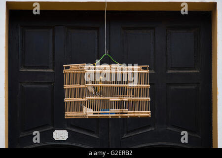 Horizontale Nahaufnahme von einem Vogel in einem hölzernen Käfig hängen außerhalb in Trinidad, Kuba. Stockfoto