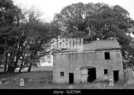 Baufälliges Bauernhaus / Scheune oberhalb von Stocks Reservoir, Lancashire, Großbritannien Stockfoto