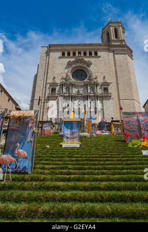 KATHEDRALE IN BLUMENKUNST AUSSTELLUNG IN GIRONA. KATALONIEN. Spanien. Stockfoto