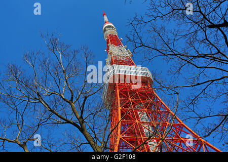 Der Tokyo Tower in Tokio, Japan Stockfoto