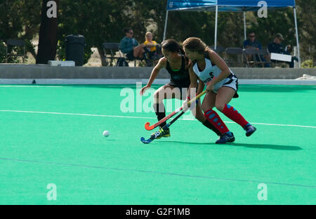 Zwei Frauen fangen Sie Hockey Spieler Gerangel um den ball Stockfoto