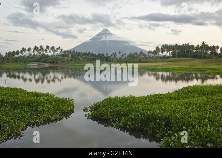 Mount Mayon gesehen vom Mann gemacht Lake Gabawan, Morgenlicht, in der Nähe von Daraga, Bicol, Philippinen Stockfoto