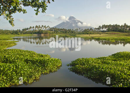 Mount Mayon gesehen vom Mann gemacht Lake Gabawan, Morgenlicht, in der Nähe von Daraga, Bicol, Philippinen Stockfoto