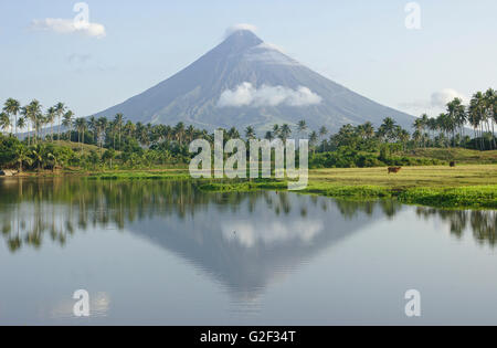 Mount Mayon gesehen vom Mann gemacht Lake Gabawan, Morgenlicht, in der Nähe von Daraga, Bicol, Philippinen Stockfoto