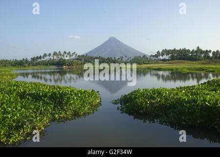 Mount Mayon gesehen vom Mann gemacht Lake Gabawan, Morgenlicht, in der Nähe von Daraga, Bicol, Philippinen Stockfoto